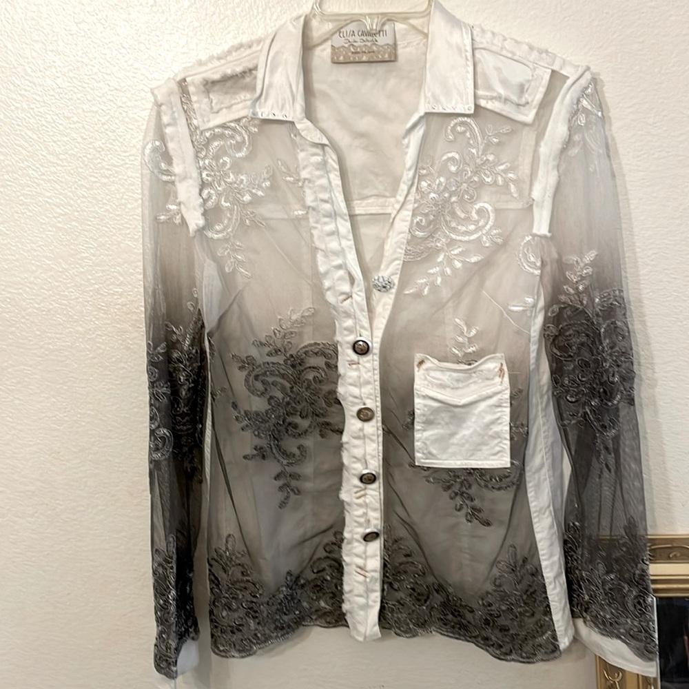 Beautiful! Italian Sheer ombré blouse Sz M